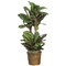 Nearly Natural 3.75' Maranta Artificial Silk Plant in Decorative Basket